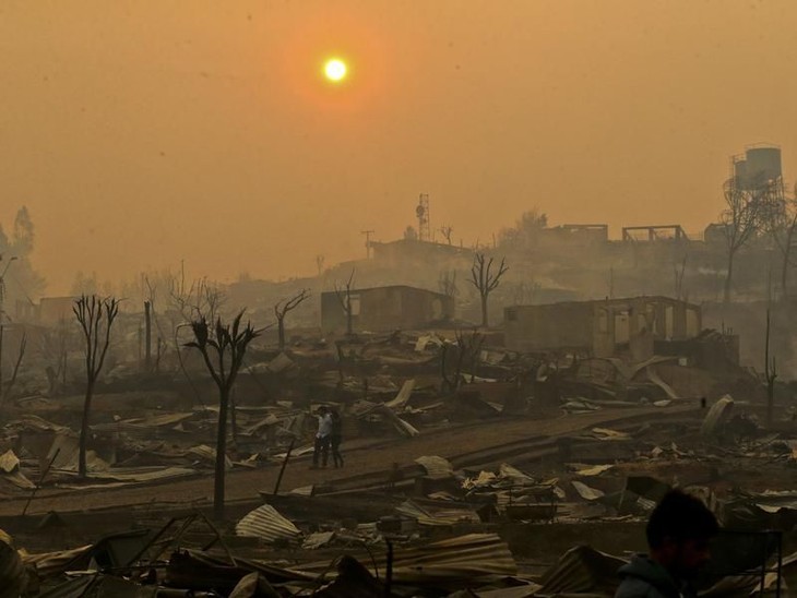 Le Chili ravagé par les pires feux de forêt de son histoire - ảnh 1